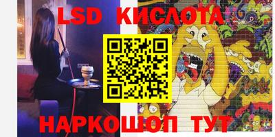 mdpv Гатчина