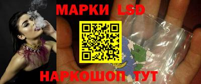 mdpv Гатчина
