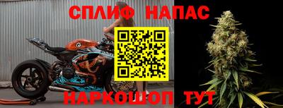 mdpv Гатчина