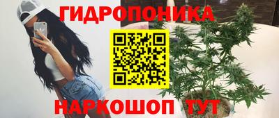 mdpv Гатчина