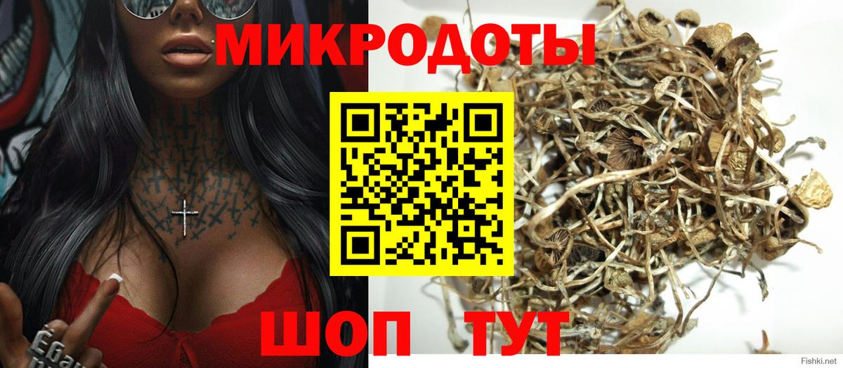 Назарово  Псилоцибиновые грибы ЛСД  Вход с VPN  Псилоцибиновые грибы Cubensis 